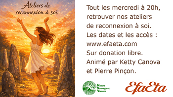 ateliers en ligne