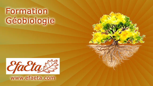 formation géobiologie professsionnelle